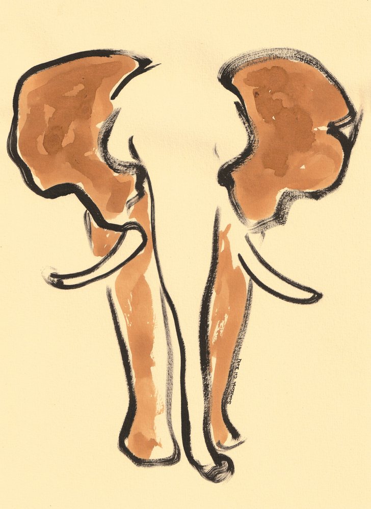Retrato de elefante marrón de Santhosh ch
