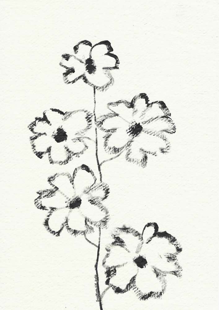 Boceto de flor al carboncillo de Santhosh ch