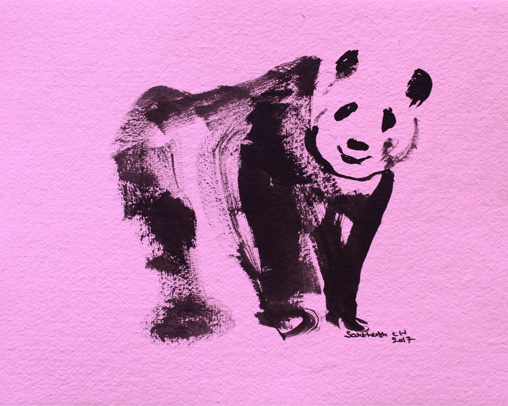 Lindo panda rosa de Santhosh ch