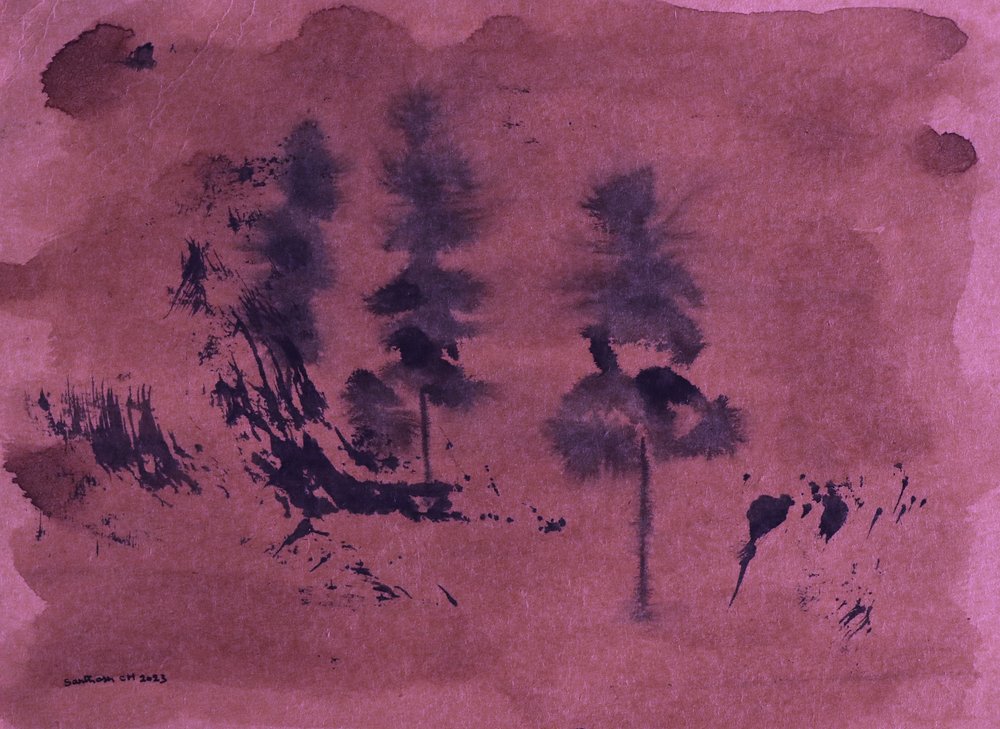 Oscuro paisaje forestal de Santhosh ch