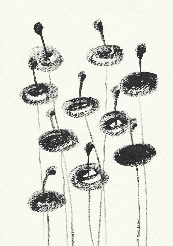 Delicadas flores al carboncillo de Santhosh ch