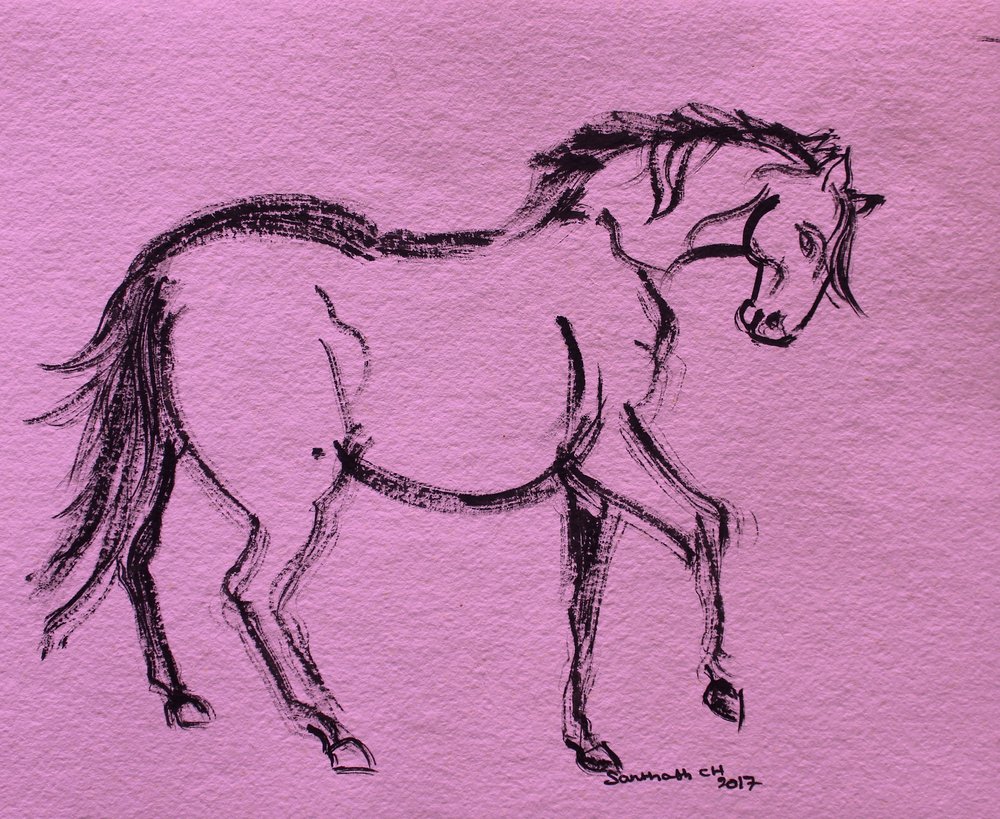 Contorno dinámico de caballo de Santhosh ch