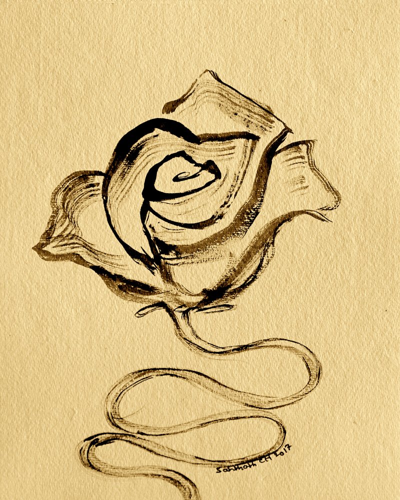 Rosa fluida y elegante de Santhosh ch