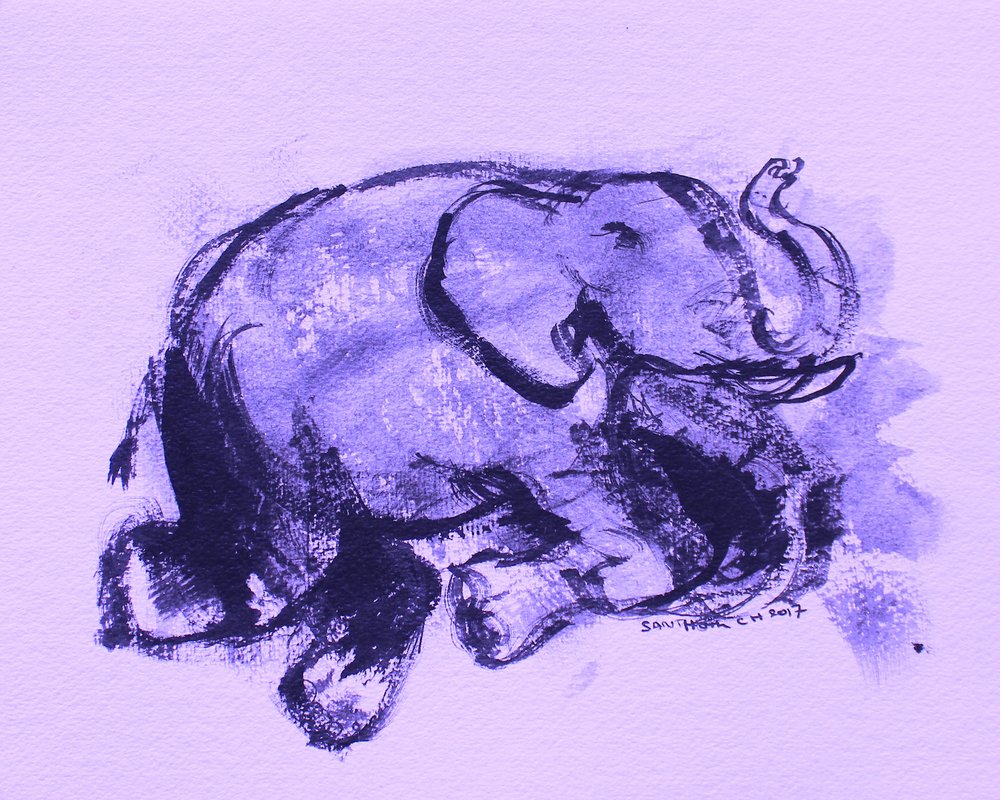 Elefante 42 de Santhosh ch