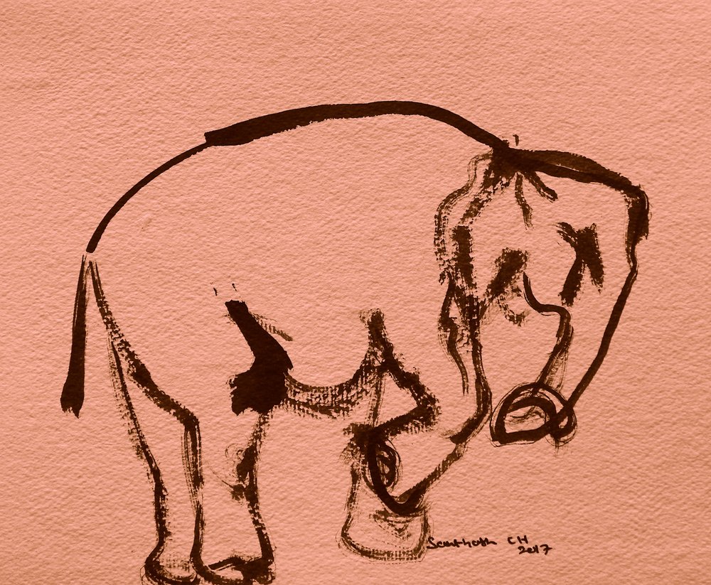 Boceto de elefante a tinta de Santhosh ch