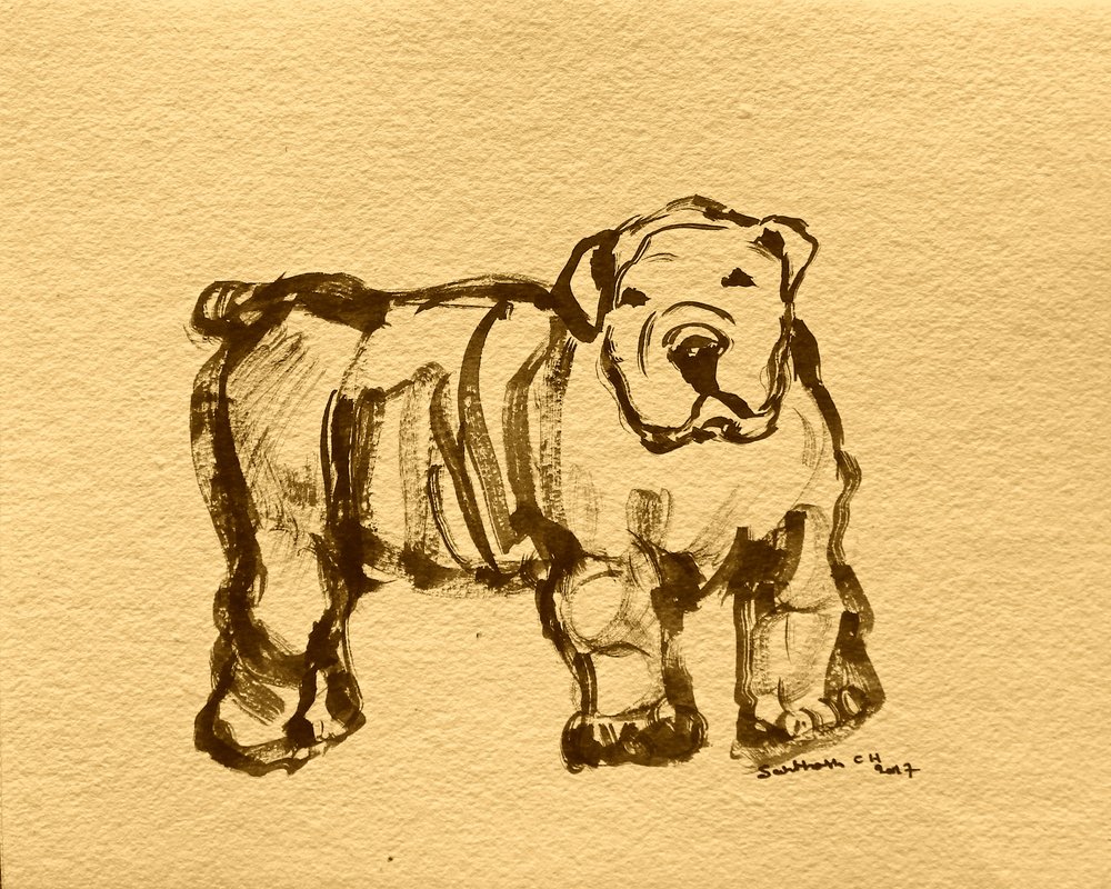 Boceto expresivo de bulldog de Santhosh ch