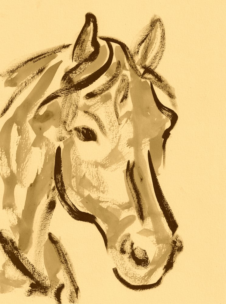 Retrato expresivo de caballo de Santhosh ch