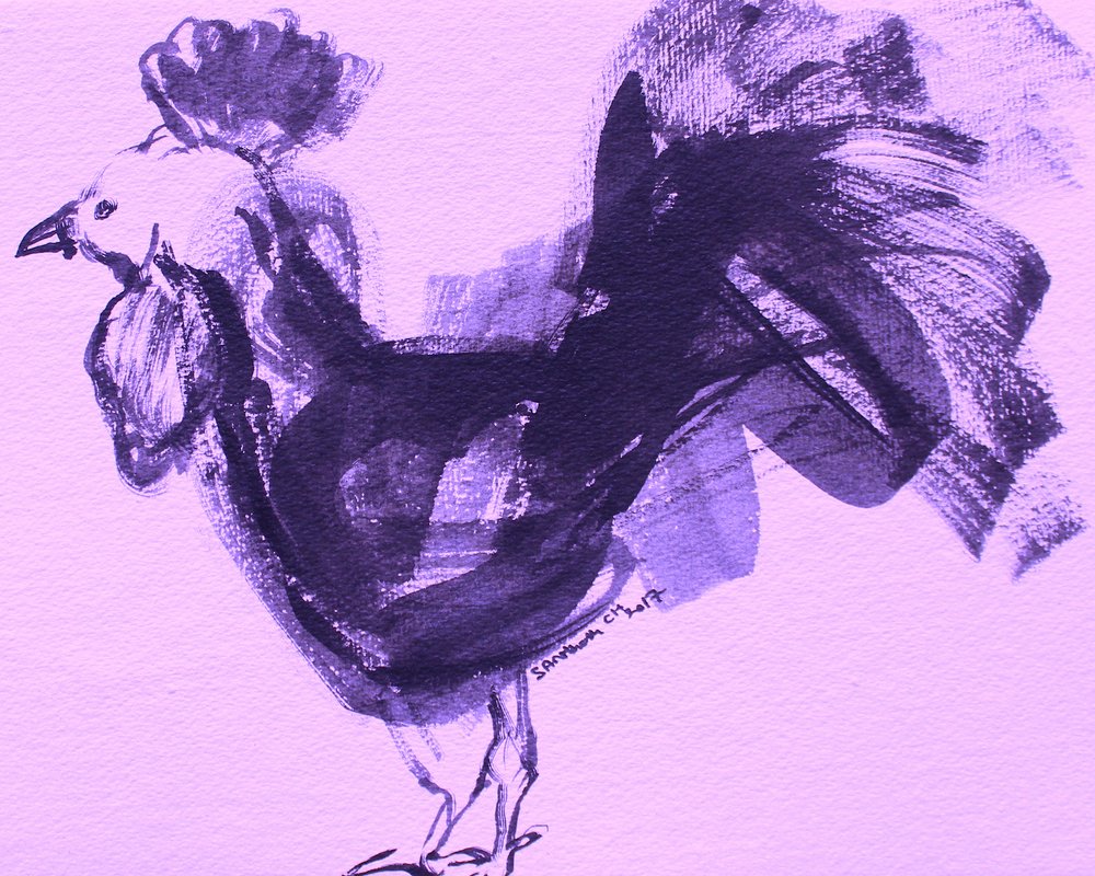 Gallo morado expresivo de Santhosh ch
