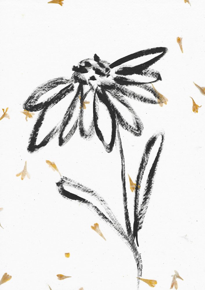 Flor con pétalos que caen de Santhosh ch