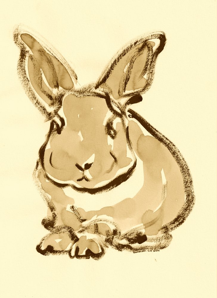 Dulce boceto de conejito de Santhosh ch