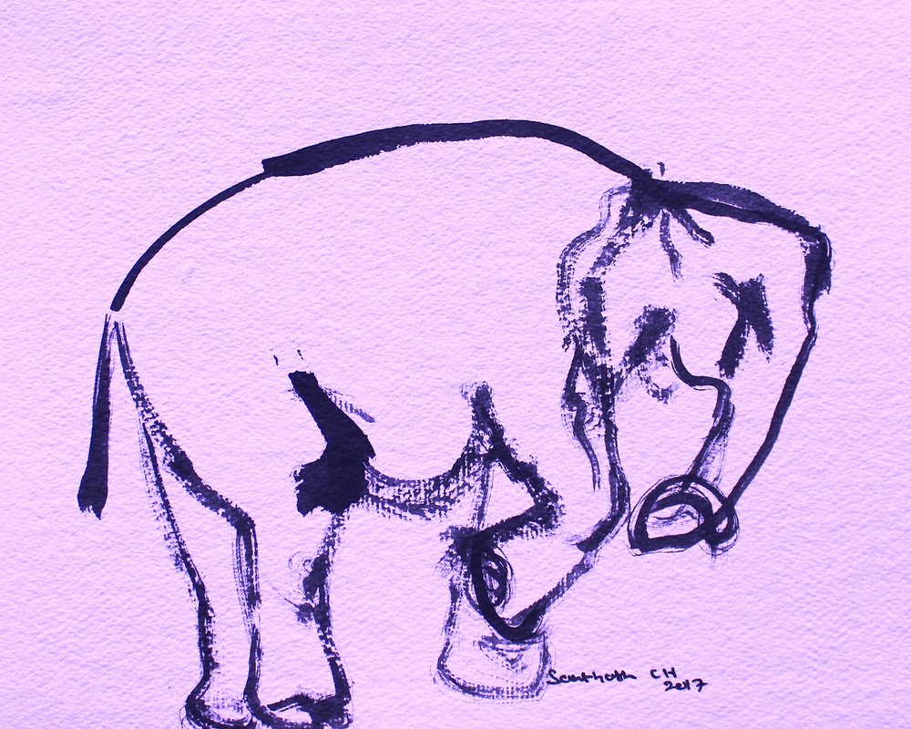 Dulce elefante a tinta de Santhosh ch