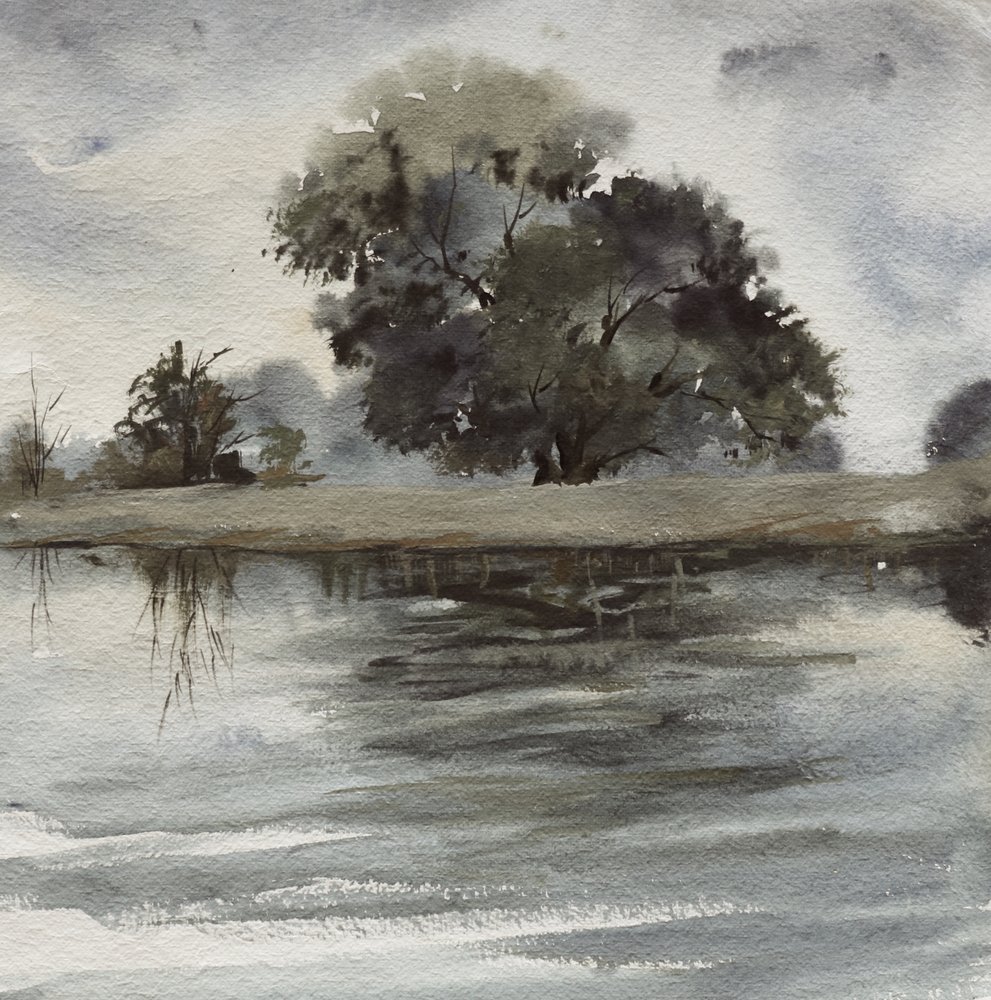 Reflexiones sobre el árbol brumoso de Santhosh ch