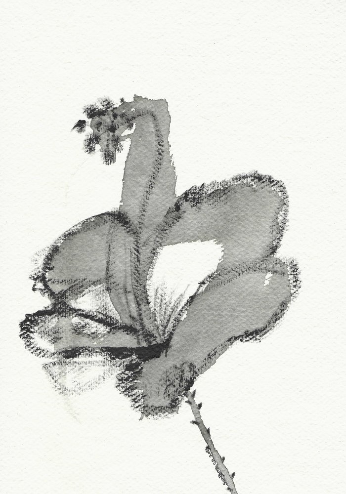 Estudio floral monocromo de Santhosh ch