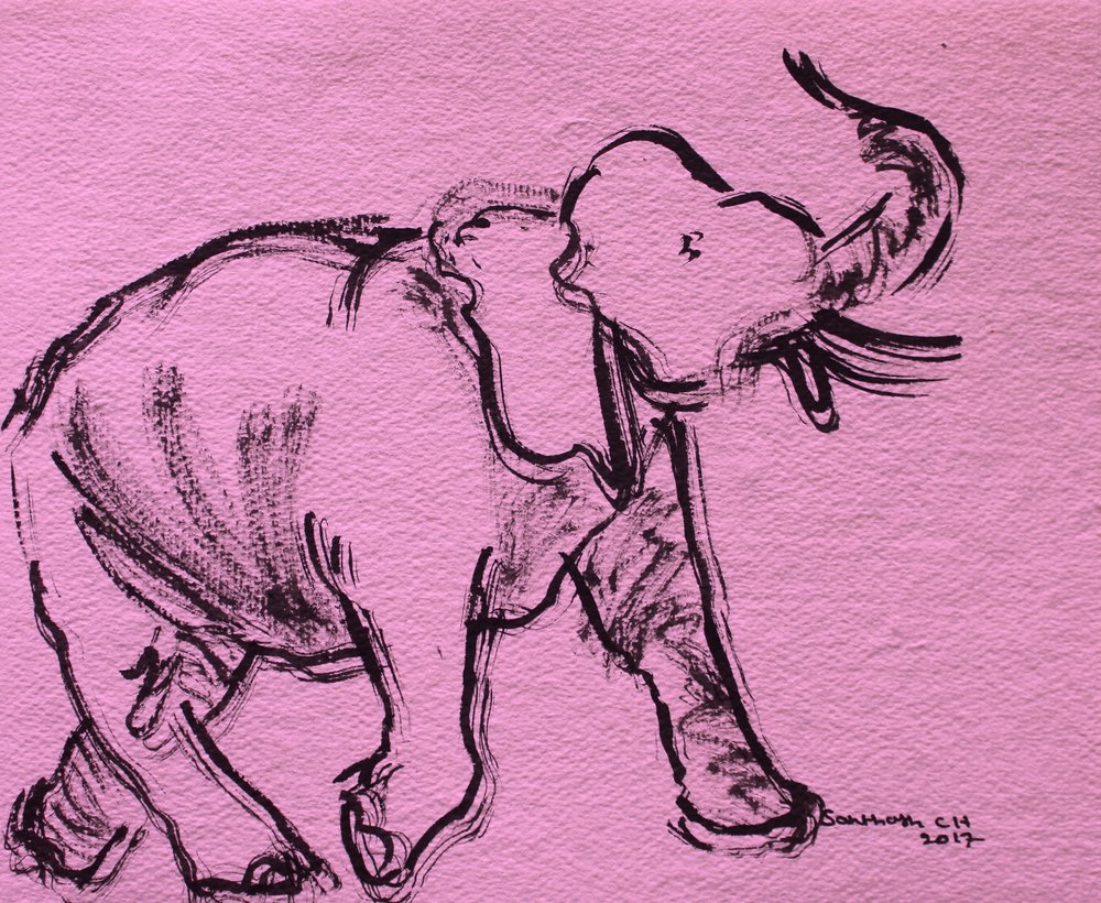 Boceto de elefante rosa de Santhosh ch