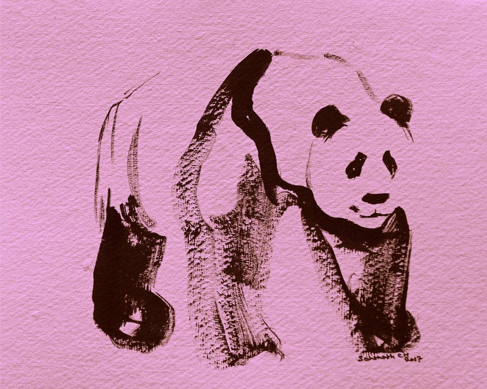 Pinceladas de panda rosa de Santhosh ch