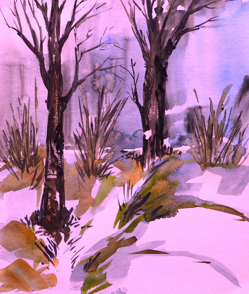 Bosques rosados de invierno de Santhosh ch