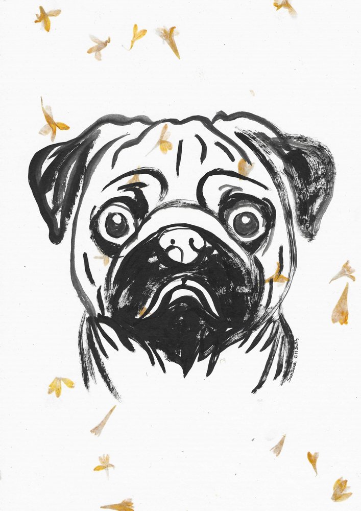 Pug con pétalos que caen de Santhosh ch