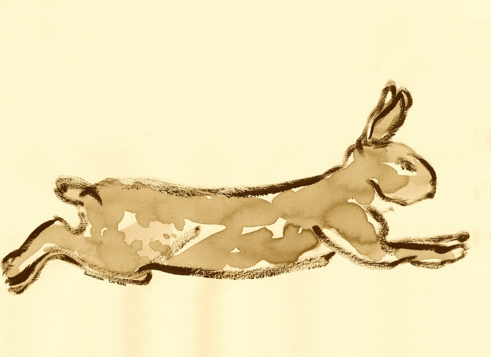 Boceto de conejo corriendo de Santhosh ch