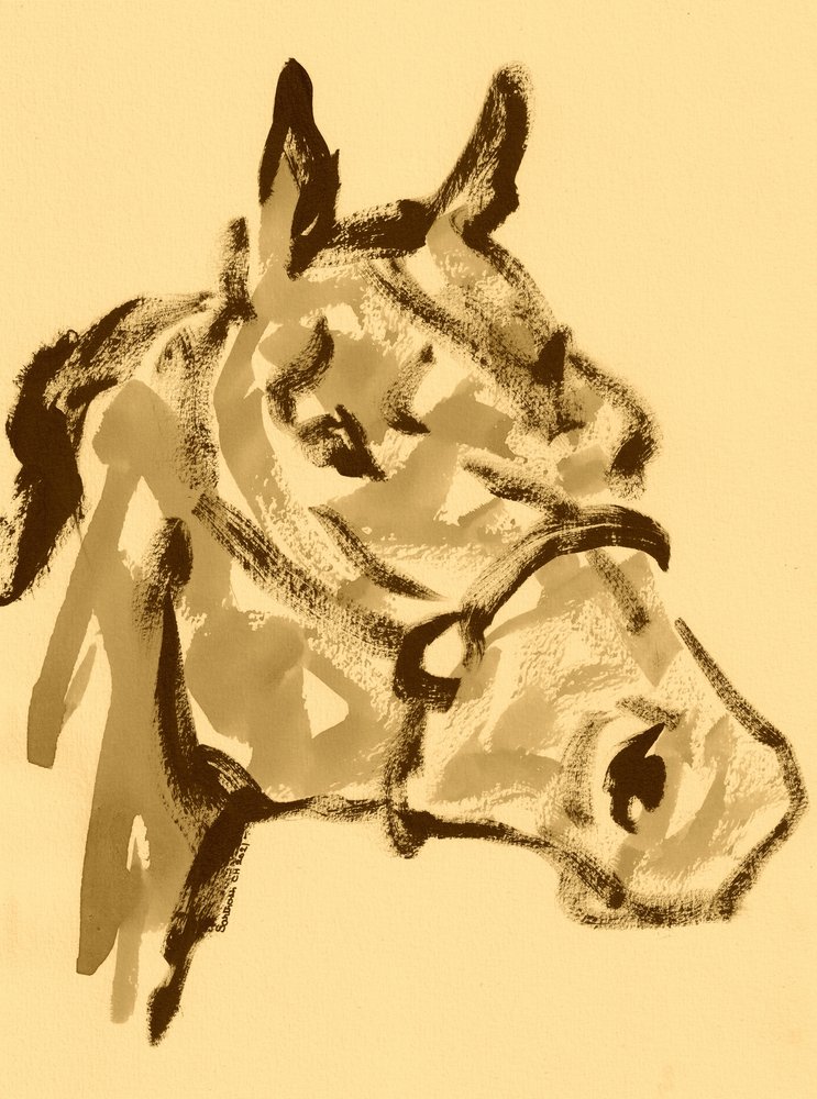 Retrato de caballo en sepia de Santhosh ch