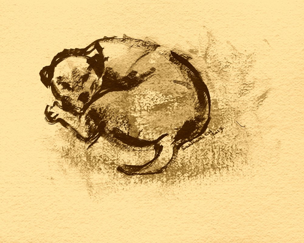 Boceto de cachorro dormido de Santhosh ch