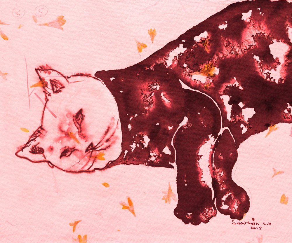 El gato rojo durmiente de Santhosh ch