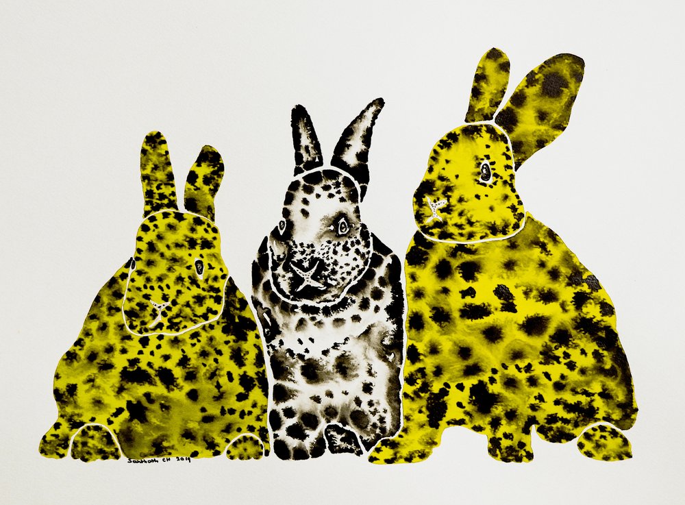 Conejos leopardo moteados de Santhosh ch