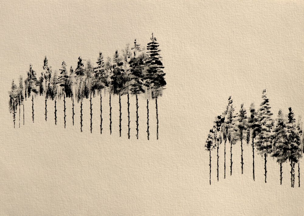 Bosque de pinos estilizado de Santhosh ch