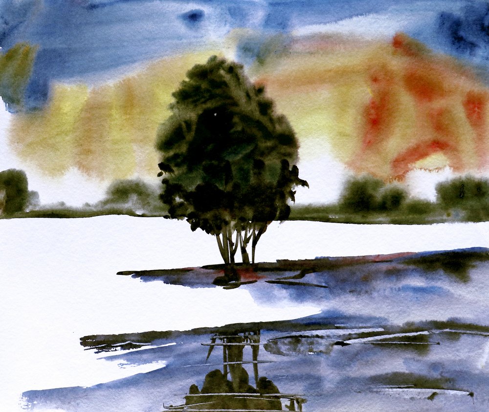 Reflejo de un árbol al atardecer de Santhosh ch