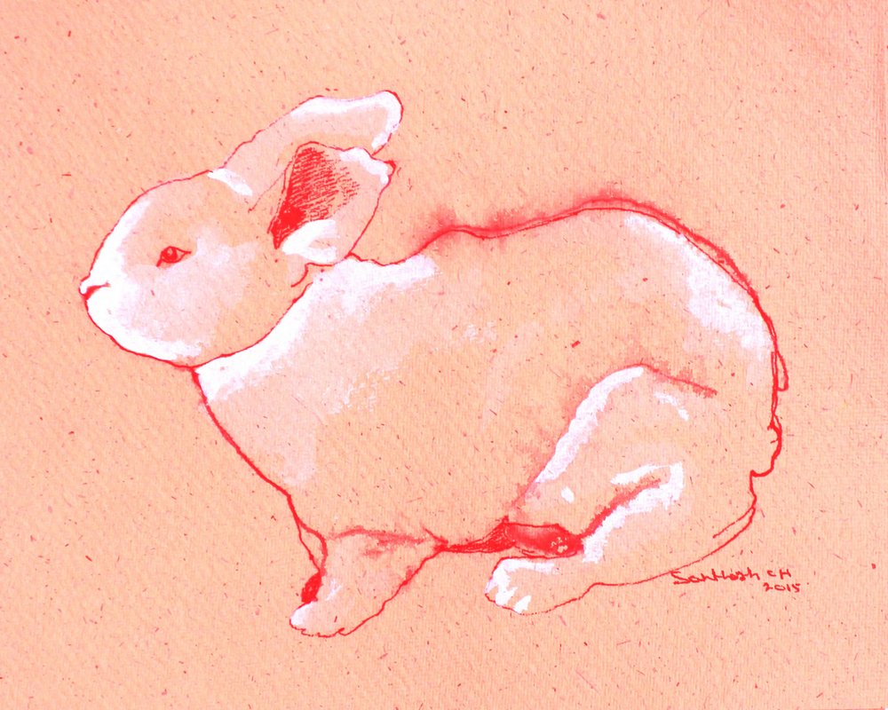 Dulce conejito de Santhosh ch