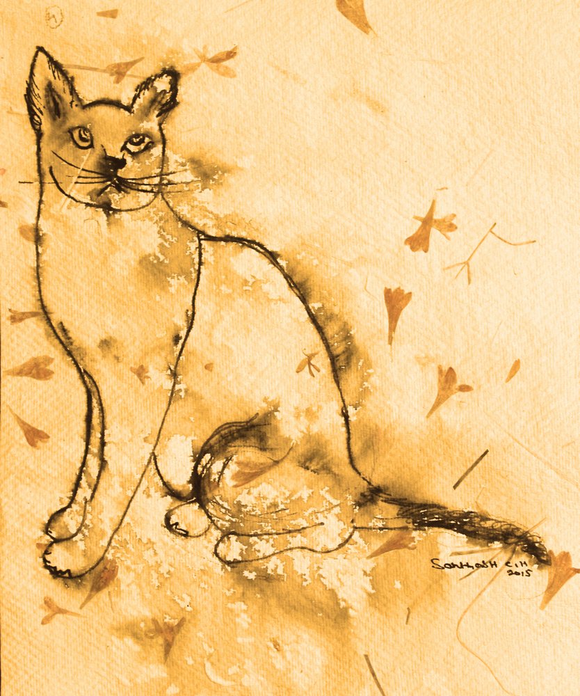 Gato pensativo en tonos sepia de Santhosh ch