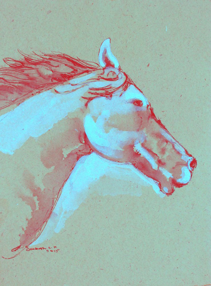 Cabeza de caballo llena de vida de Santhosh ch
