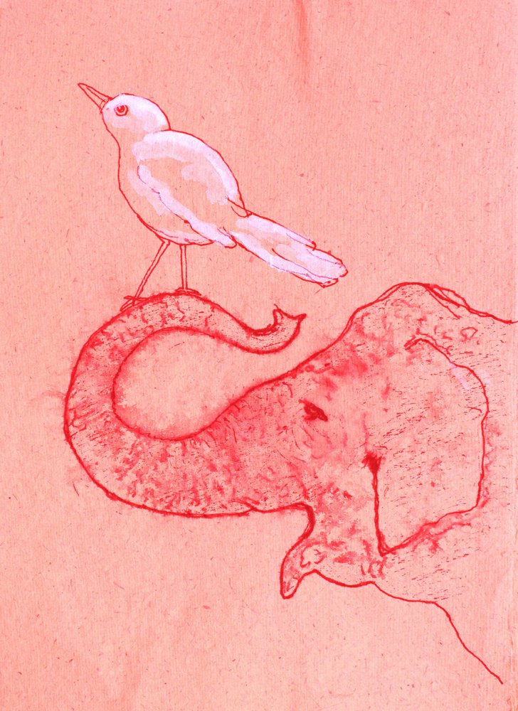 Elefante y pájaro caprichosos de Santhosh ch