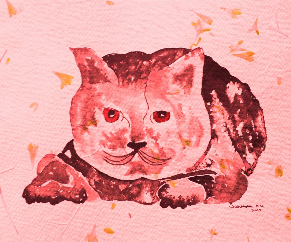Gato rosa caprichoso de Santhosh ch