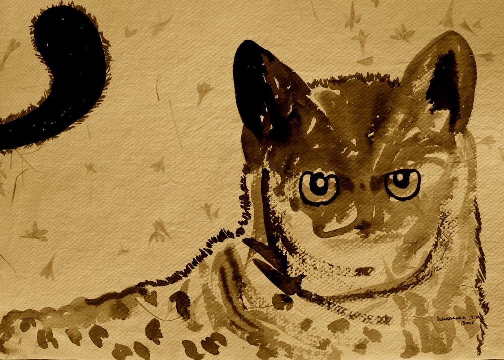 La mirada del gato salvaje de Santhosh ch