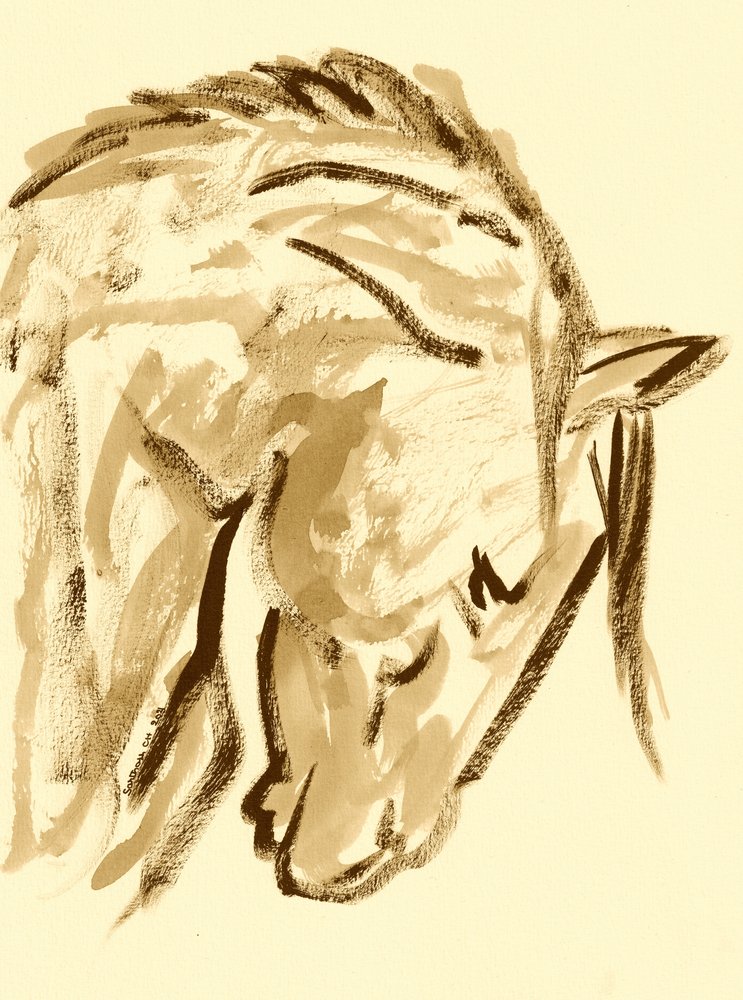 Boceto de caballo salvaje de Santhosh ch