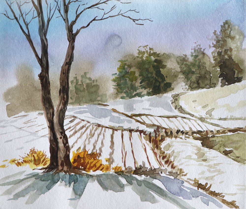 Paisaje invernal en el campo de Santhosh ch