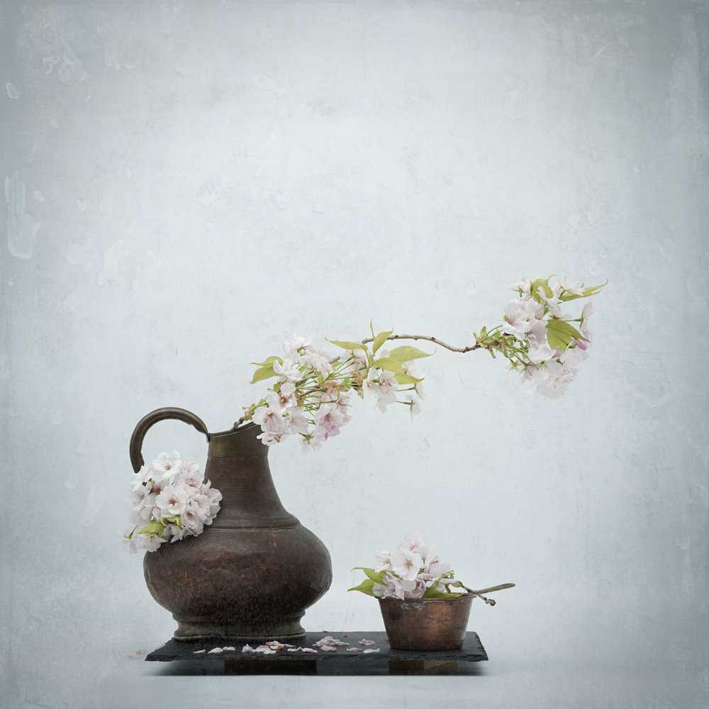 Naturaleza muerta con flores de cerezo de Saskia Dingemans