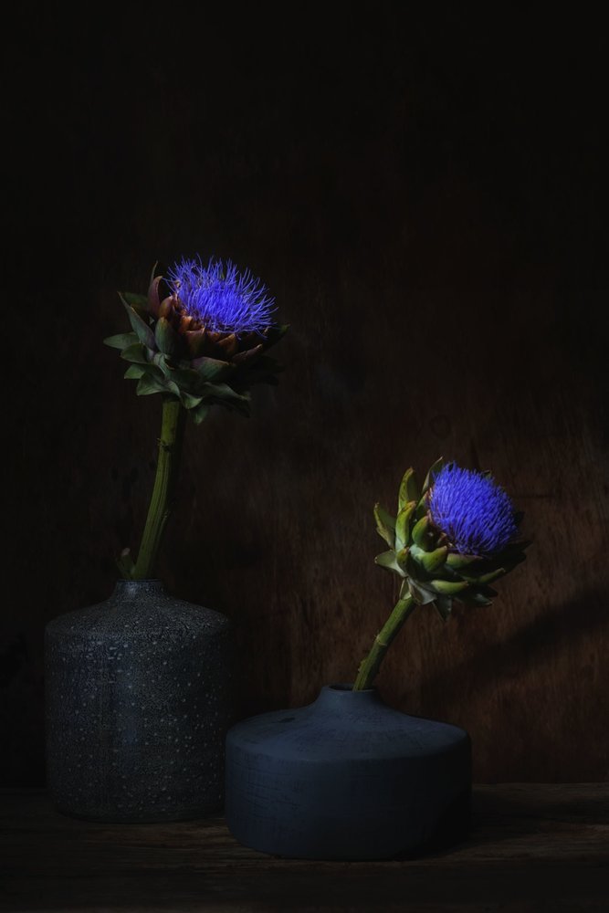 Flores oscuras de alcachofa de Saskia Dingemans