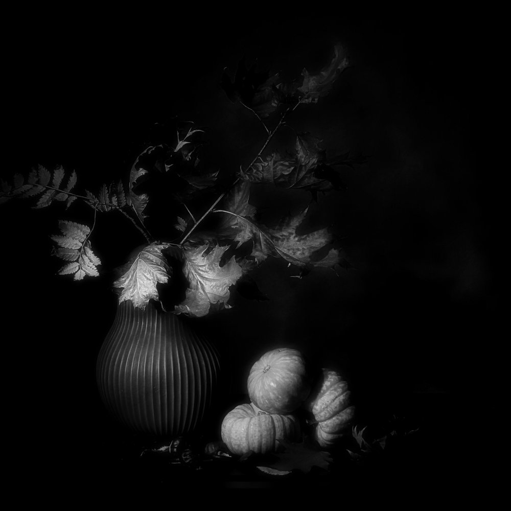 Naturaleza muerta de otoño oscuro de Saskia Dingemans