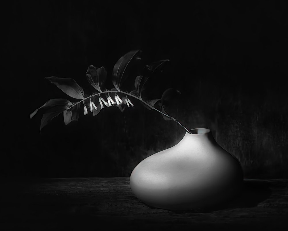 Naturaleza muerta botánica oscura de Saskia Dingemans