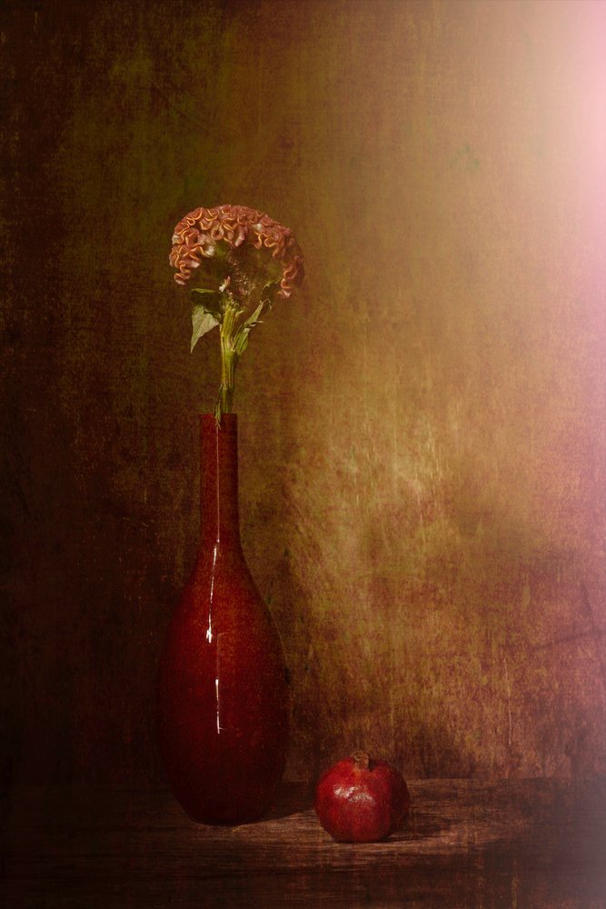 Florecen los bodegones oscuros de Saskia Dingemans