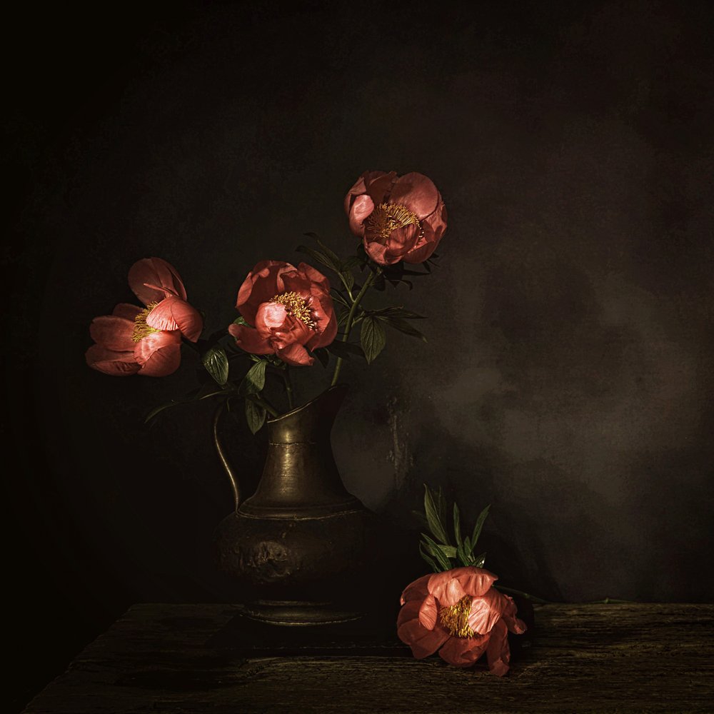 Flores de peonía de color rojo intenso de Saskia Dingemans