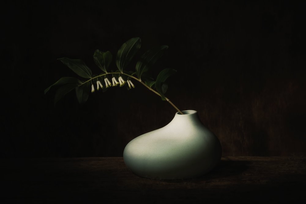 Naturaleza muerta oscura «Delicate Bloom» de Saskia Dingemans