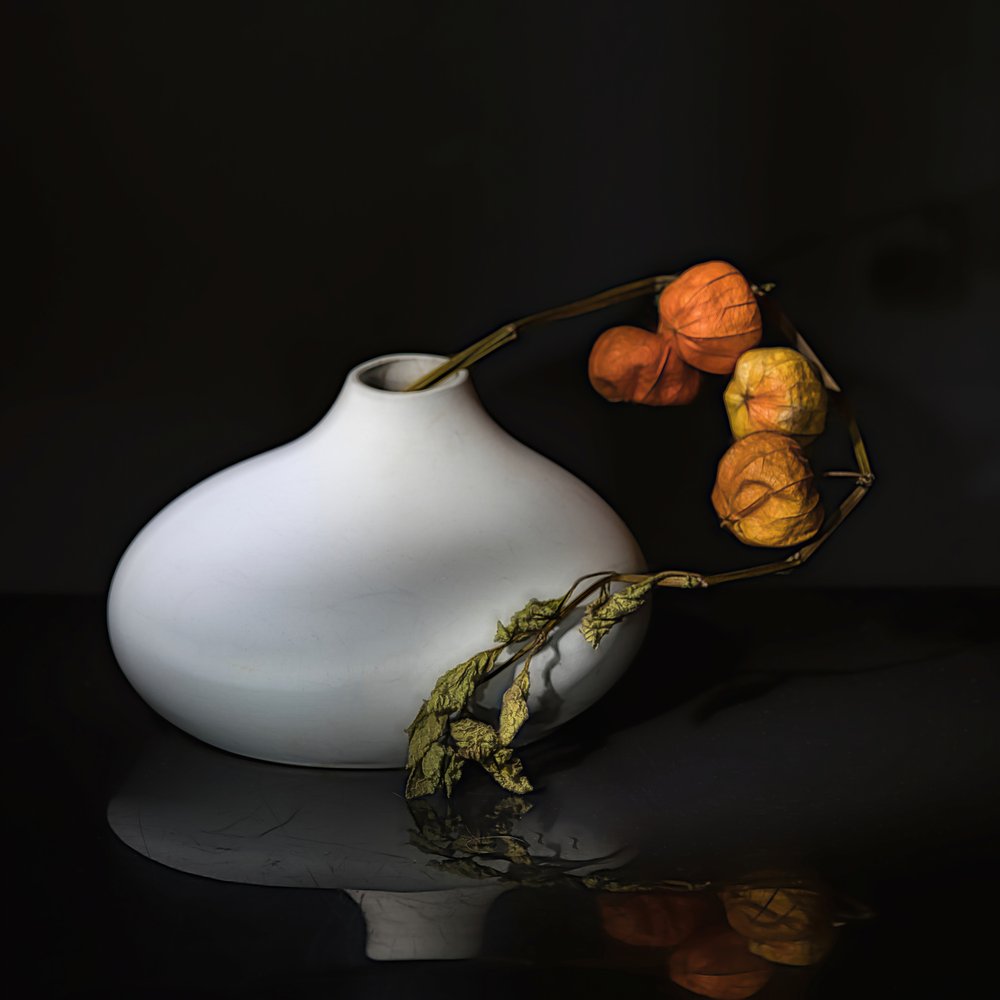 Elegante naturaleza muerta con physalis de Saskia Dingemans