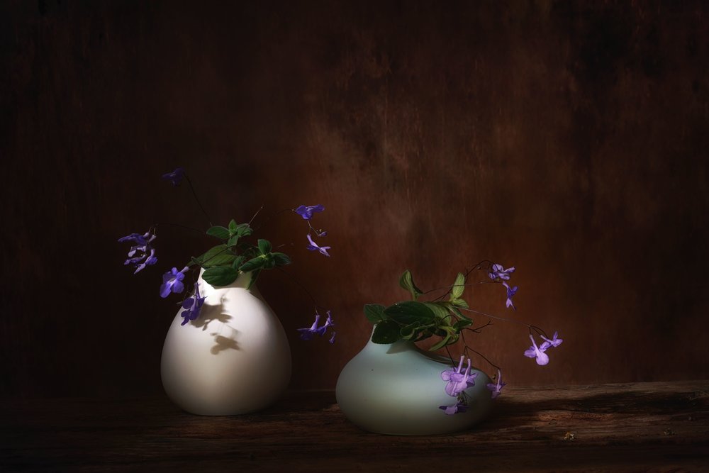 Flores moradas flotantes de Saskia Dingemans