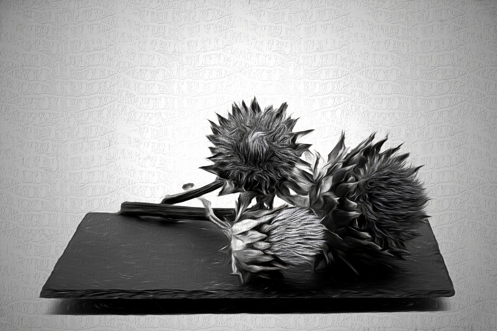 Naturaleza muerta monocromática con alcachofas de Saskia Dingemans