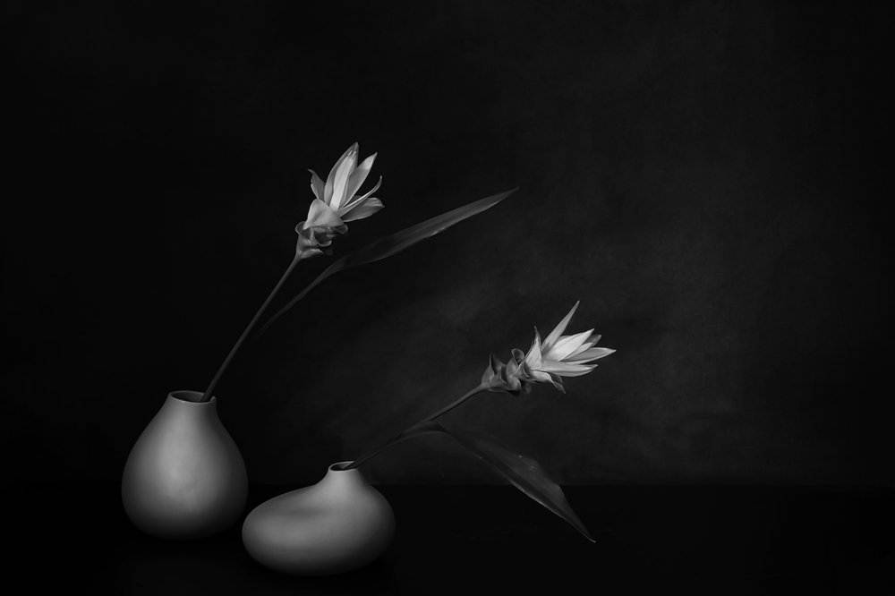 Serenidad floral monocromática de Saskia Dingemans
