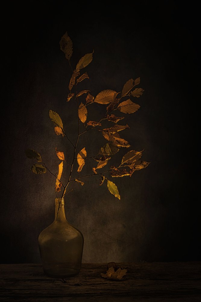 Hojas de otoño melancólicas de Saskia Dingemans