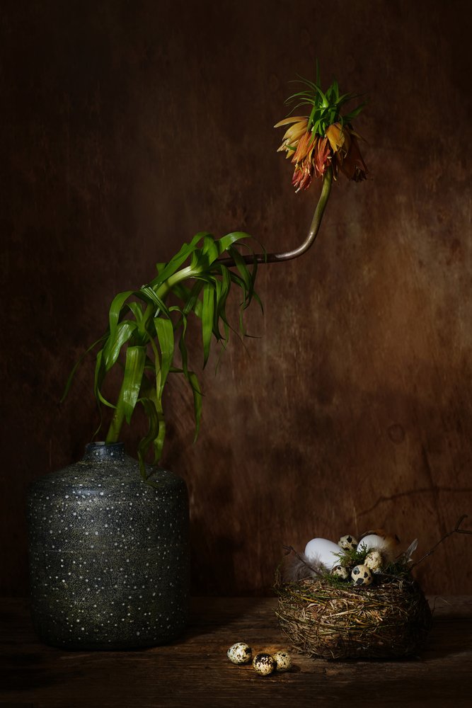 Rincón floral de Moody de Saskia Dingemans