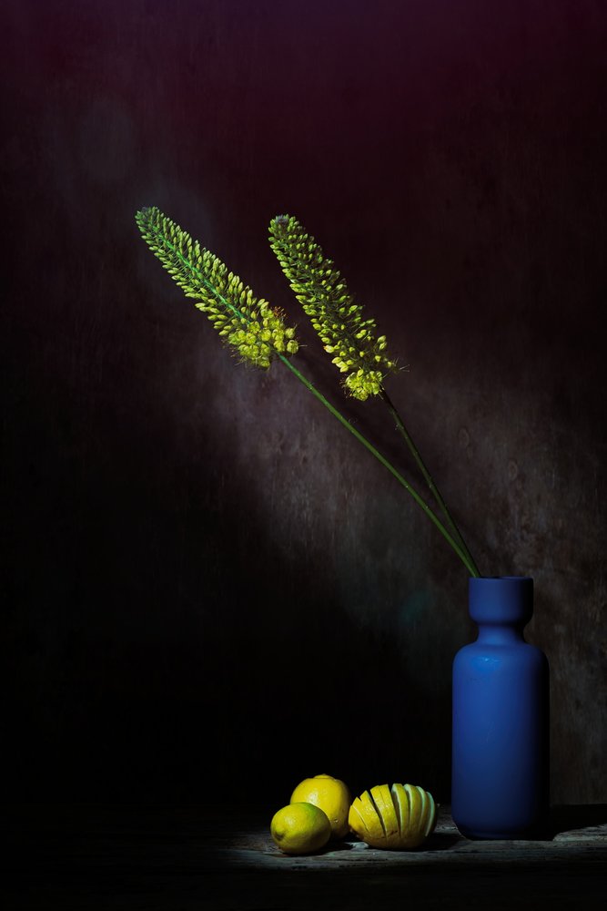 Flores amarillas de Moody: limones de Saskia Dingemans
